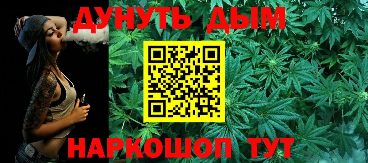 Конопля сатива Богданович